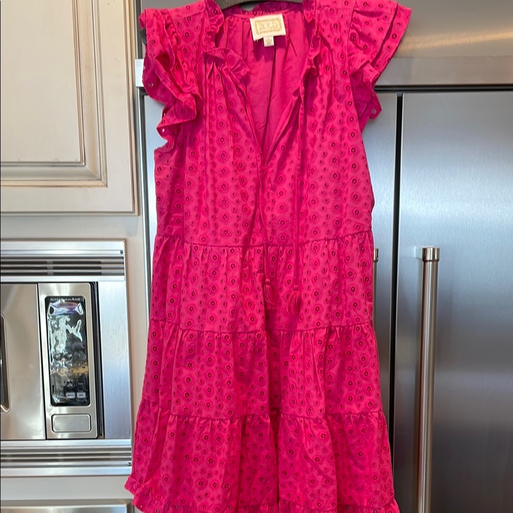 Pink Ruffled Dress sail to sable won’t once size large